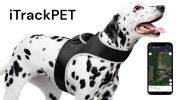 Rechargeable Pocket GPS GSM Tracking Collars for Hunting Dogs Realtime Size:S
