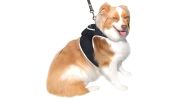Portable Surveillance System GPS Pet Tracking Collars for Hunting Dogs Size:S