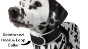 Portable Surveillance System GPS Pet Tracking Collars for Hunting Dogs Size:S