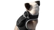 Portable Surveillance System GPS Pet Tracking Collars for Hunting Dogs Size:S