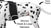 Rechargeable Pocket GPS GSM Tracking Collars for Hunting Dogs Realtime Size:S