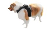 Portable Surveillance System GPS Pet Tracking Collars for Hunting Dogs Size:L
