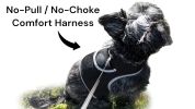 Portable Surveillance System GPS Pet Tracking Collars for Hunting Dogs Size:L