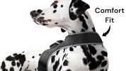 Rechargeable Pocket GPS GSM Tracking Collars for Hunting Dogs Realtime Size:S