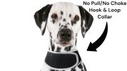 Portable Surveillance System GPS Pet Tracking Collars for Hunting Dogs Size:S