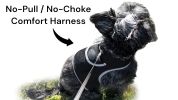 Long Range Tracking Pet Tracker GSM GPS Tracking Collars for Hunting Dogs Size:XXL