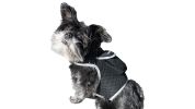 Long Range Tracking Pet Tracker GSM GPS Tracking Collars for Hunting Dogs Size:XXL