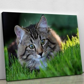 Hunting in the grass Canvas Print or Poster (Type: Standard Framed Canvas Print, size: 44" x 33" / 110cm x 85cm (approx))