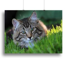 Hunting in the grass Canvas Print or Poster (Type: Poster Print, size: 16" x 12" / 42cm x 30cm (approx))