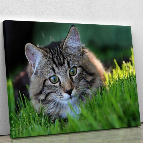 Hunting in the grass Canvas Print or Poster